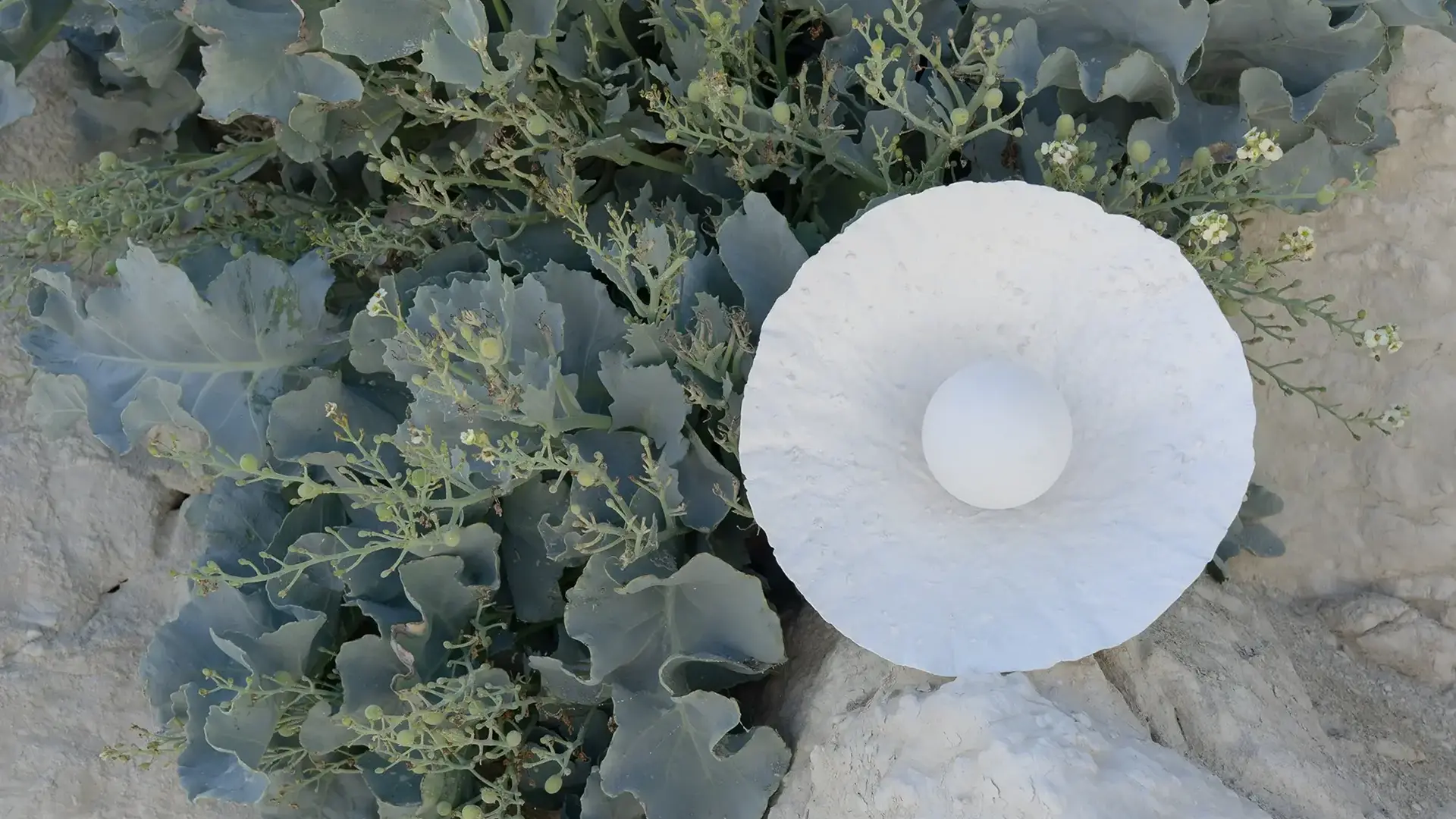 Chalk Path Studio hero