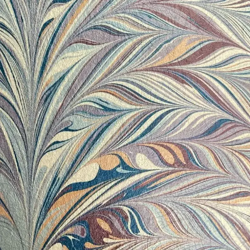 Foxtail in Woodstock