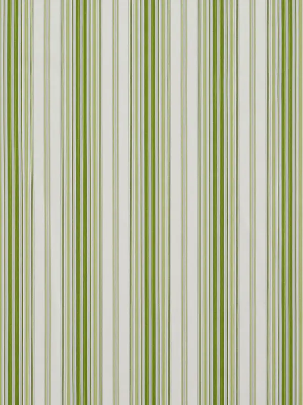 Garden Stripe in Celadon
