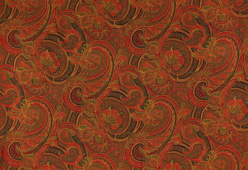 Ludhiana in Chilli Wool