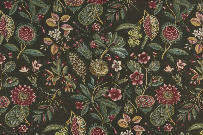 Exotic Fruits in Fig