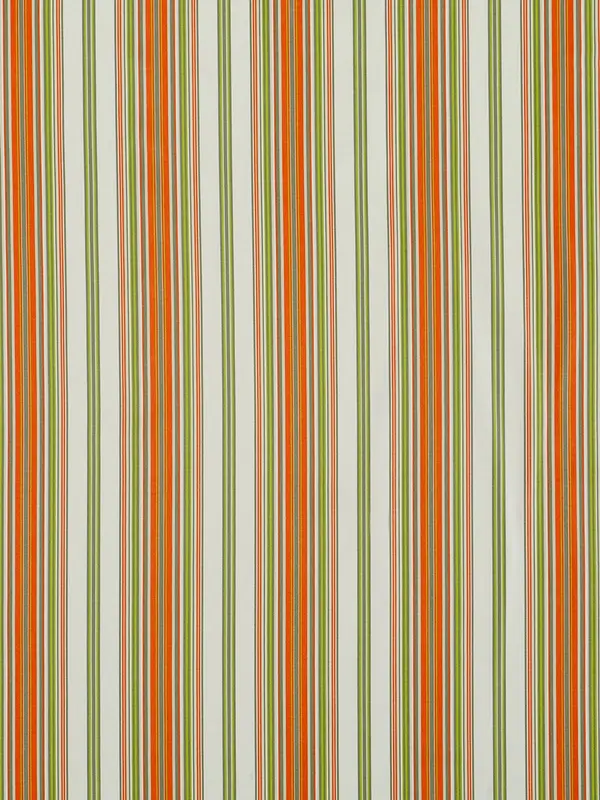 Garden Stripe in Persimmon